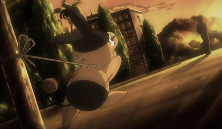 PokeDailyPost tweet picture