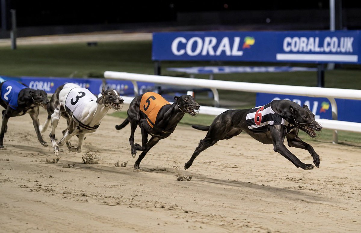 dickieevans1's tweet photo. Greyhounds tonight at Dunstall Park 

A nice win Patent looks a good bet 

Fancy a few today, 
19.33 Basaljett , 
20.07 mymidnite spoton, 
19.49 Point Break 🤞 https://t.co/mxuN7jNiBV