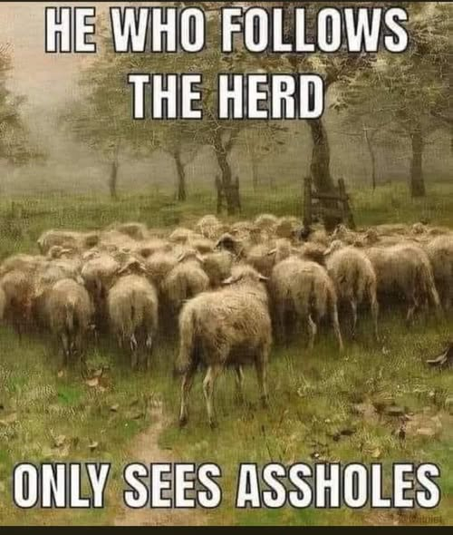 rowton007's tweet photo. 😁 https://t.co/WOZEBfCiOJ