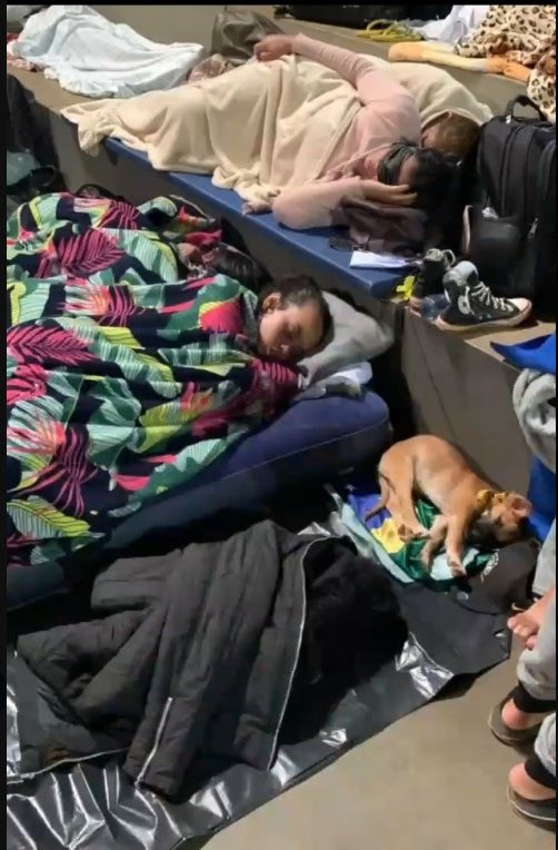 osociotario's tweet photo. Isso não pode cair no esquecimento. Alexandre de Moraes deteve até um filhote de cachorro e crianças. https://t.co/8WxEWz98mQ