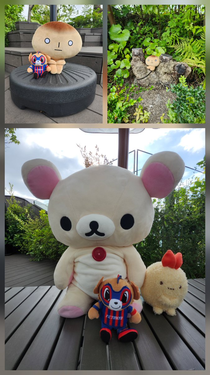 tabeim's tweet photo. 最終日に滑り込み～！！ https://t.co/LPs8n7wTXr