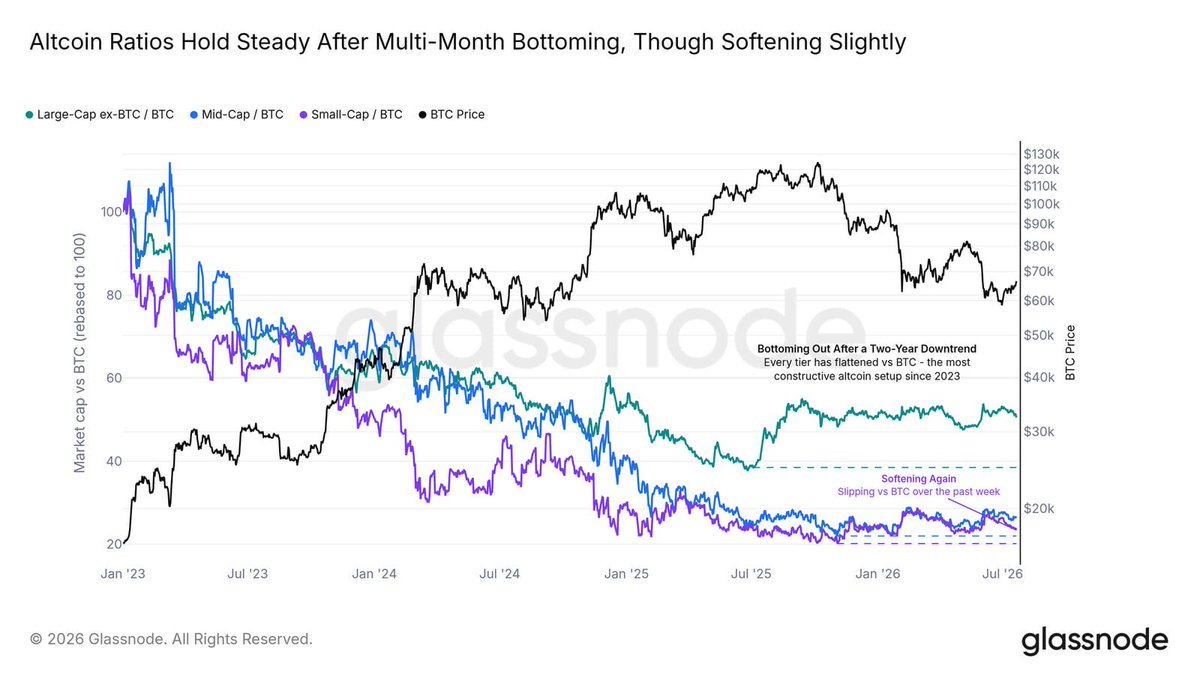 PrometeusCT's tweet photo. #Altcoins #OnChain #Glassnode
📍Beneath the surface, capital keeps choosing the leader. Every altcoin tier has spent years falling against BTC, and that long bleed flattened out this spring into the most constructive altcoin floor of the downtrend. https://t.co/4A7OeSizn0