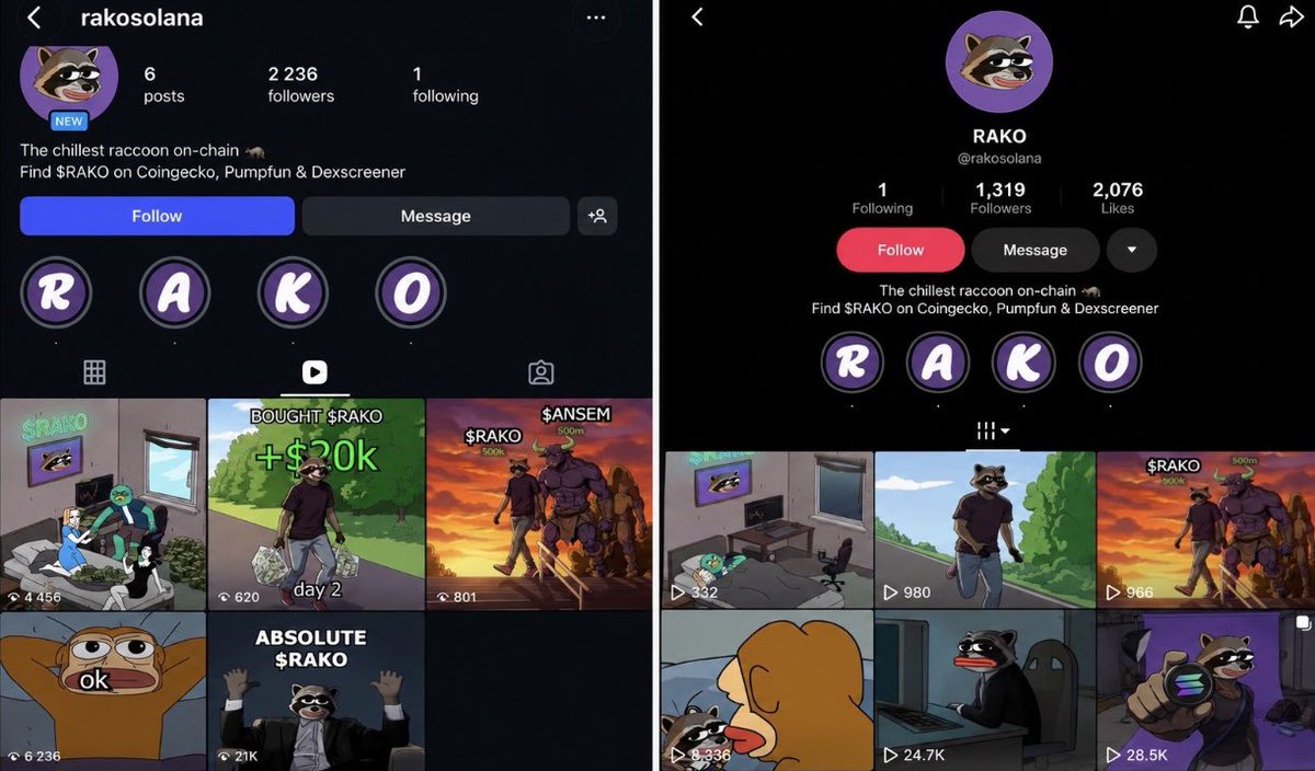 Rakosolofficial's tweet photo. In just 1 week of posting, our new TikTok and Instagram accounts combined have gained 3000 new followers and generated 100,000 organic impressions  

$RAKO onboarding is here 🦝 https://t.co/1WpR5JtTTW