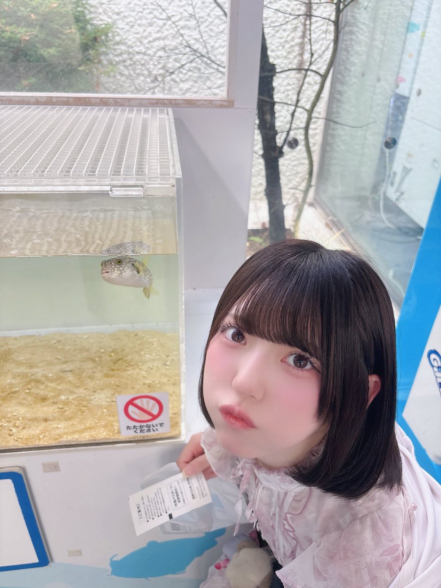 MRCR_merina's tweet photo. フグのマネ https://t.co/UX0TlWFrPg