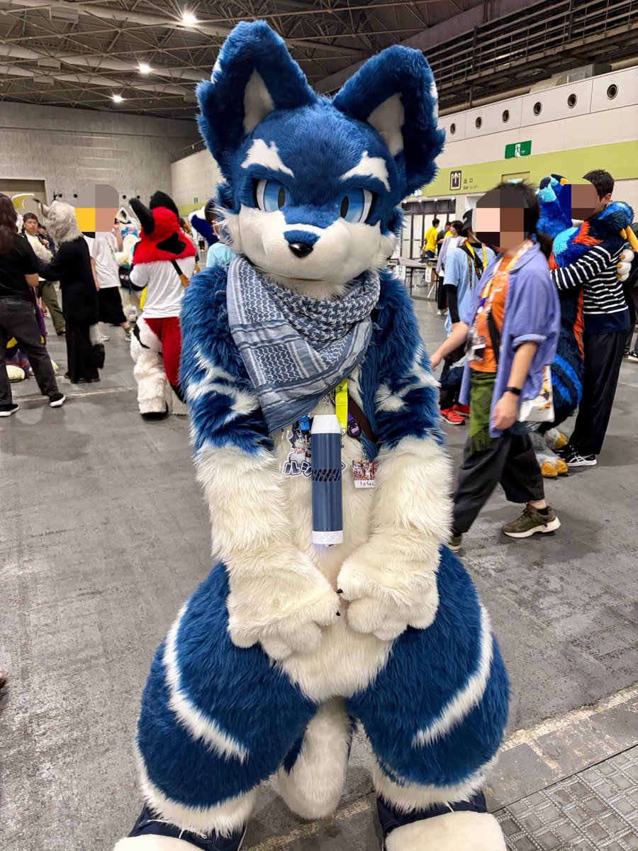ruon173's tweet photo. かわいい🐺ルシアンくん！ https://t.co/icNUbFgmRg