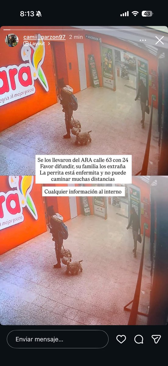 paulaenelalma's tweet photo. Por favor ayúdenme a difundir. Se robaron los perritos de la novia de un amigo 😔‼️‼️ BOGOTÁ https://t.co/htPyqttZiE