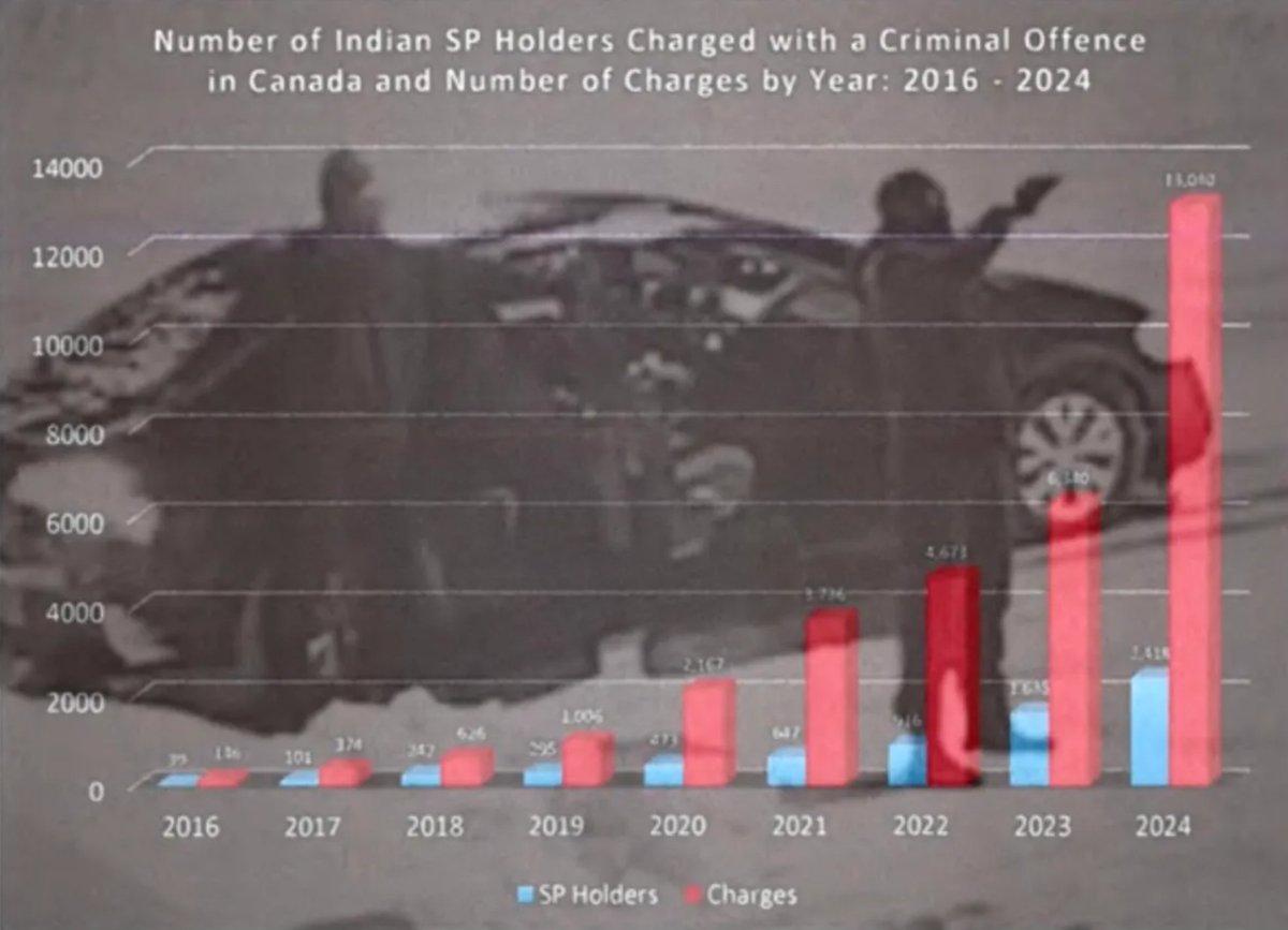 Tablesalt13's tweet photo. ‼️MAJOR BREAKING 

The number of Indian student visa holders charged with a criminal offence in Canada

increased by 6400% 

under the Liberal government! ... New Classified report reveals the Bishoi gang exploited this program! https://t.co/mo6H4ofiyt