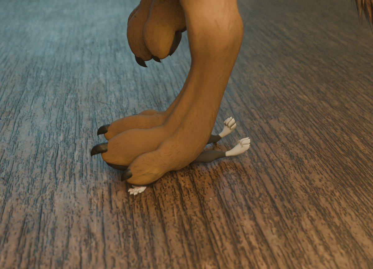 RealMountainCat's tweet photo. Little kitty will need some time to recover from this one~ https://t.co/sN1YhvKxLS
