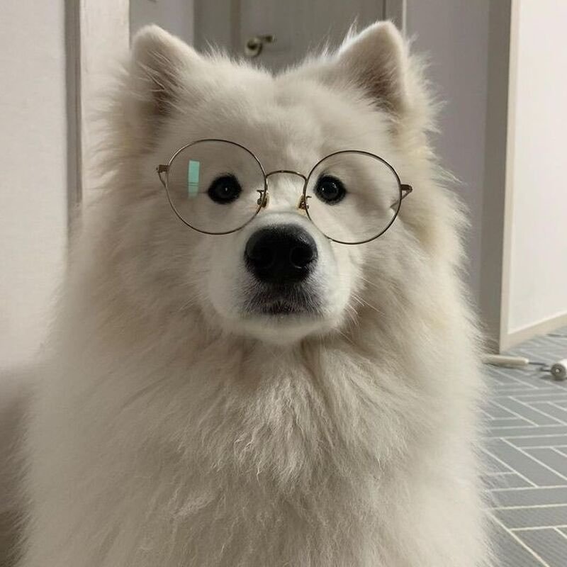 4J0JMe's tweet photo. แว่นตี๋ 🤓

ก็ชั่งหามาให้เหมือนตัวเองได้เนาะโอ้ย555555555เอ็นดูอ่ะ https://t.co/eXGB1KVkaD