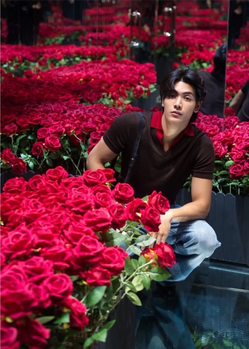 KorSorRor's tweet photo. 🐶🌹 🐻‍❄️ https://t.co/Wmy8z3mfJI