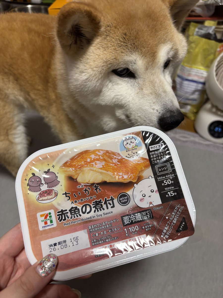 AngelKurukuru2's tweet photo. https://t.co/QbiRr0gBWK