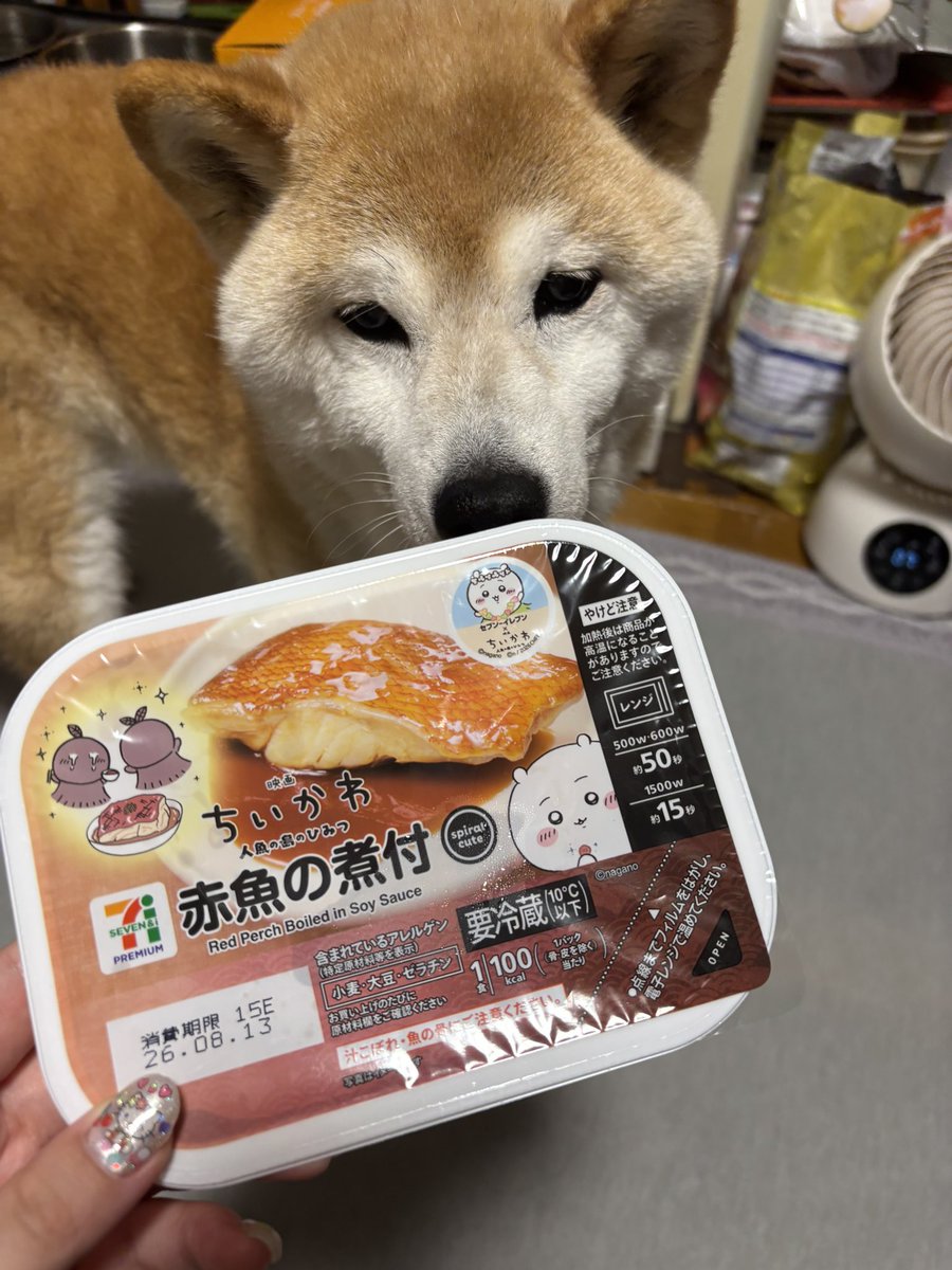 AngelKurukuru2's tweet photo. https://t.co/QbiRr0gBWK