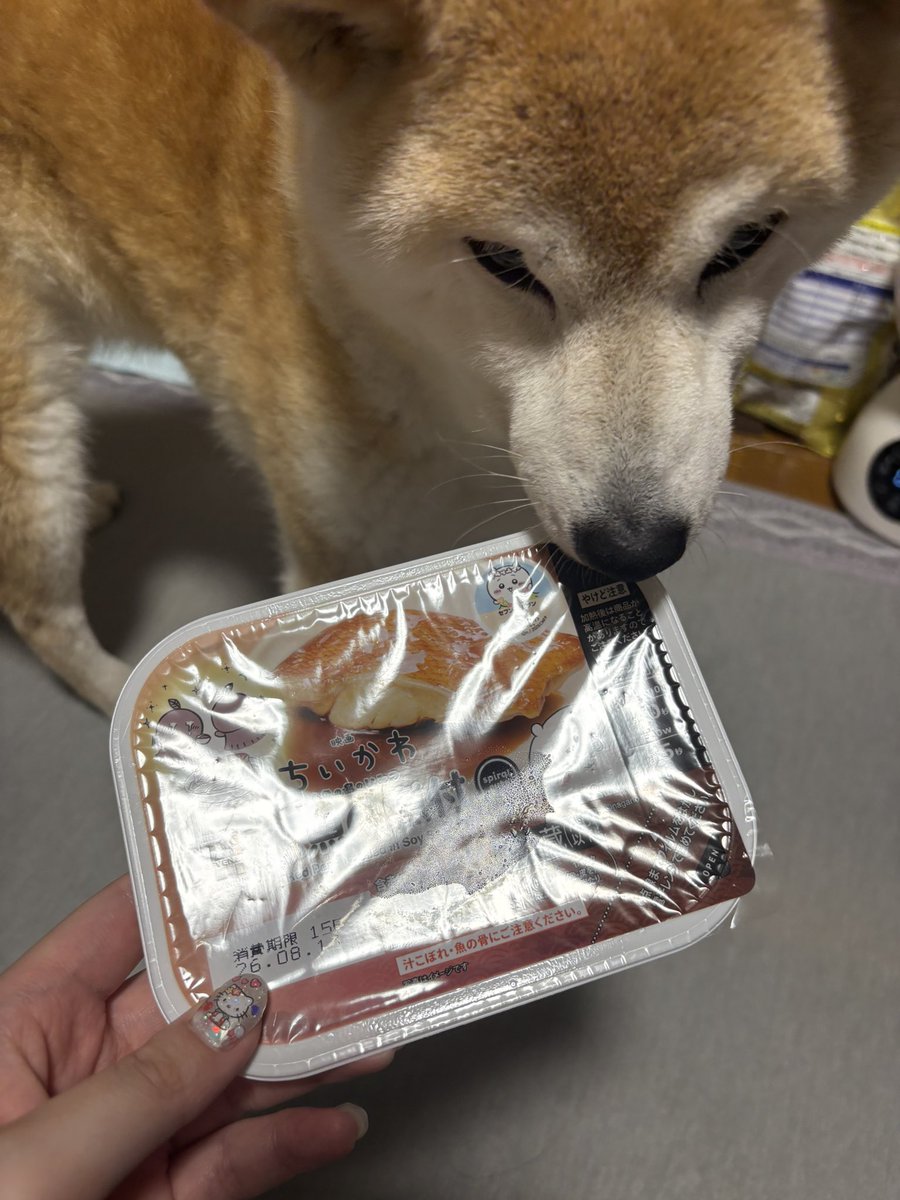 AngelKurukuru2's tweet photo. https://t.co/QbiRr0gBWK