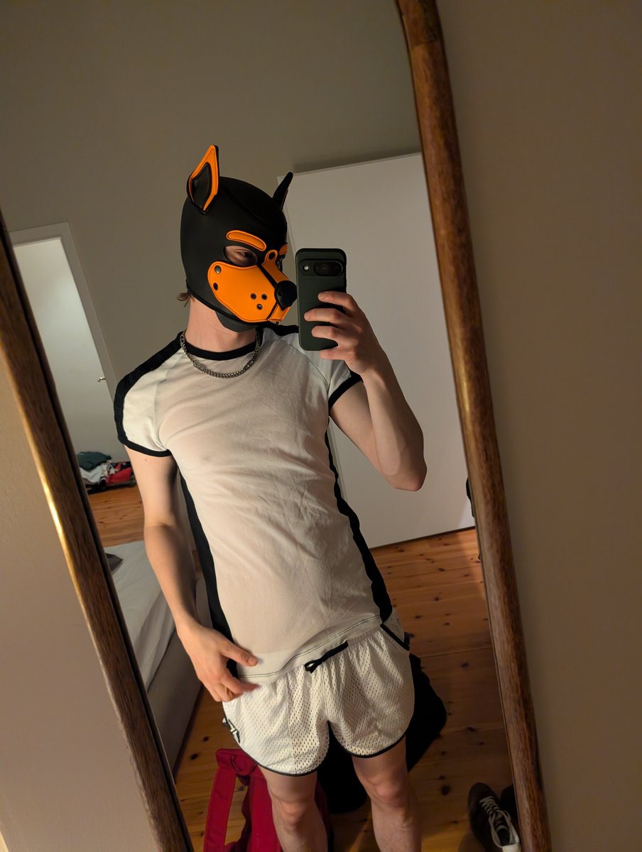 Kogatax3's tweet photo. Hey guys 🐾
#pup #puppy #mlm #gay #gaypup https://t.co/R5VWMRSJrh