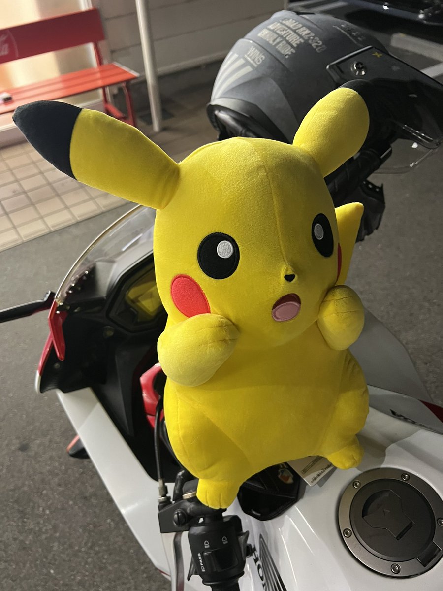 REBLACK11's tweet photo. トキワの森を思い出したよ（捕獲率的に⚡️ https://t.co/6Yo6w0lGIq