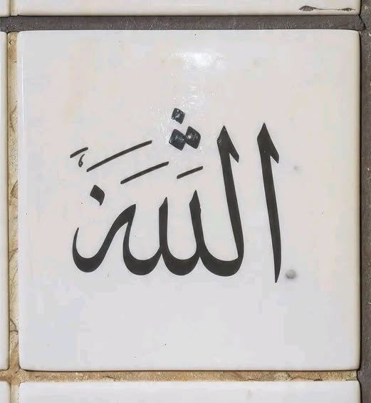 MariaBalochPK's tweet photo. دنیا سمجھتی ہے آزمائش عذاب ہے. 
مگر حقیقت میں یہ "چناؤ" ہے. اللہ کے پاس کروڑوں بندے ہیں. سب نماز پڑھتے ہیں، سب روزے رکھتے ہیں. مگر جنہیں وہ اپنے خاص کمرے میں بلانا چاہتا ہے... ان کا انٹرویو ہوتا ہے. اور اس انٹرویو کا نام ہے: آزمائش یوسف علیہ السلام کو کنویں میں ڈالا گیا... کیونکہ انہیں مصر کا بادشاہ بنانا تھا. ایوب علیہ السلام کو بیماری دی گئی... کیونکہ ان کا صبر دنیا کے لیے مثال بنانا تھا. محمد ﷺ سے سب سے زیادہ تکلیفیں اٹھواہیں... کیونکہ انہیں سب سے بلند مقام دینا تھا.
کبھی کچھ دے کر... "شکر کرتے ہو یا نہیں" دیکھتا ہے. کبھی کچھ لے کر.... "صبر کرتے ہو یا نہیں" دیکھتا ہے. کیونکہ جس کا دل مال سے خالی ہو جائے، وہی دل میں اللہ کے لیے جگہ بنتی ہے. کبھی اپنوں کے ذریعے زخم دیتا ہے. تاکہ تمہارا آخری سہارا وہ نہ رہیں... میں رہ جاؤں. جب دنیا کے سارے دروازے بند ہو جاہیں، تو تم مجبوراً اسی کے دروازے پر سر ٹیک دو.
بےنیند راتیں، بےنام خوف، بےنام آنسو. یہ سب اس لیے... تاکہ تم سجدے لمبے کر دو. تاکہ تم "یااللہ" کہنا سیکھ جاؤ. تاکہ تمہاری زبان پر اس کا نام چڑھ جائے. آزمائش کے دوران سب سے پہلے تنہائی ملتی ہے. کیونکہ اللہ نہیں چاہتا تمہاری بات کوئی اور سنے. پھر بےبسی ملتی ہے. کیونکہ اللہ نہیں چاہتا تم کسی اور سے امید لگاؤ. پھر اندھیرا ملتا ہے. کیونکہ اللہ نہیں چاہتا تم اسی کے نور کے محتاج ہو جاؤ. اور جب تم ٹوٹ کر کہتے ہو: "بس اللہ تو ہی ہے" اس دن آزمائش ختم.... اور قربت شروع.
سنار سونے کو آگ میں اس لیے ڈالتا ہے تاکہ اس کی کھوٹ نکل جائے اور وہ نکھر جائے. اللہ بھی ہمیں آگ میں ڈالتا ہے تاکہ ہمارے اندر کا "میں" جل جائے. اور صرف "وہ" بچ جائے. لوگ کہتے ہیں "صبر کرو" مطلب "برداشت کرو" نہیں! صبر کا مطلب ہے: "اللہ پر بھروسہ رکھو" صبر کا مطلب ہے: "میں گرا نہیں، میں جھکا ہوں" صبر کا مطلب ہے: "میرا رب مجھے دیکھ رہا ہے"
جس رات تم رو کر سوئے تھے... اللہ نے فرشتوں کو کہا تھا "اس کی حفاظت کرنا"جس دن تمہارا دل ٹوٹا تھا... اللہ نے اس ٹوٹے دل کو اپنے قریب کر لیا تھا. جس لمحے تم نے" یااللہ"کہا تھا... آسمان میں تمہارے لیے دروازے کھل گئے تھے. آزمائش لمبی نہیں ہوتی. بس اللہ کو تمہارا "یااللہ" سننا اچھا لگتا ہے. "اللہ تمہیں اپنے قریب لانا چاہتا ہے"
