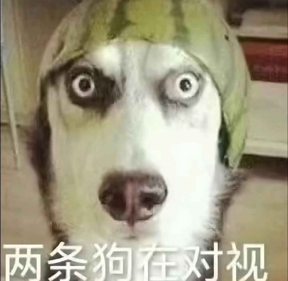 Jolleycat's tweet photo. https://t.co/NvupZ98Hb8