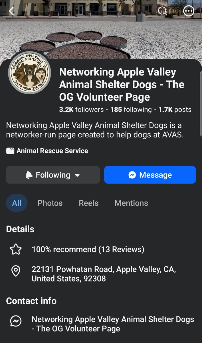 itsadogslifersq's tweet photo. ELVIS #259978
4yo.#mastiff mix
What a regal, but oh so sweet gentle boy w/ a loyal heart full of love.
On kill list 8/4โผ๏ธ
#AppleValley #sbcounty
Adopt: https://t.co/BcLNROiNGZ
Msg volunteers via FB Messenger if you can foster even when you're hours away from Apple Valley
โฌ๏ธ https://t.co/NfEp4Ooipf