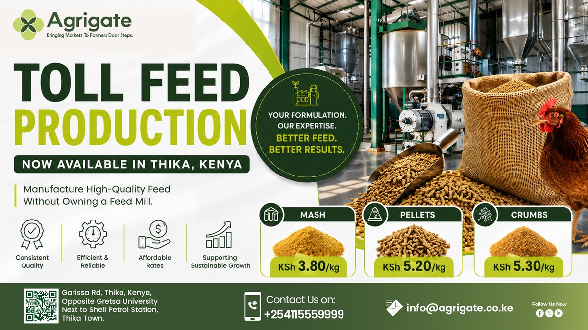 AgrigateKenya's tweet photo. Whether you're expanding production,
launching a new feed brand,
or producing feed for your own farm—
We are ready to partner with you.

Contact us today to discuss your production requirements.
#Agrigate #TollProduction #FeedManufacturing #PoultryFarming #WaterGasElectricity https://t.co/1GWCEKeKA8
