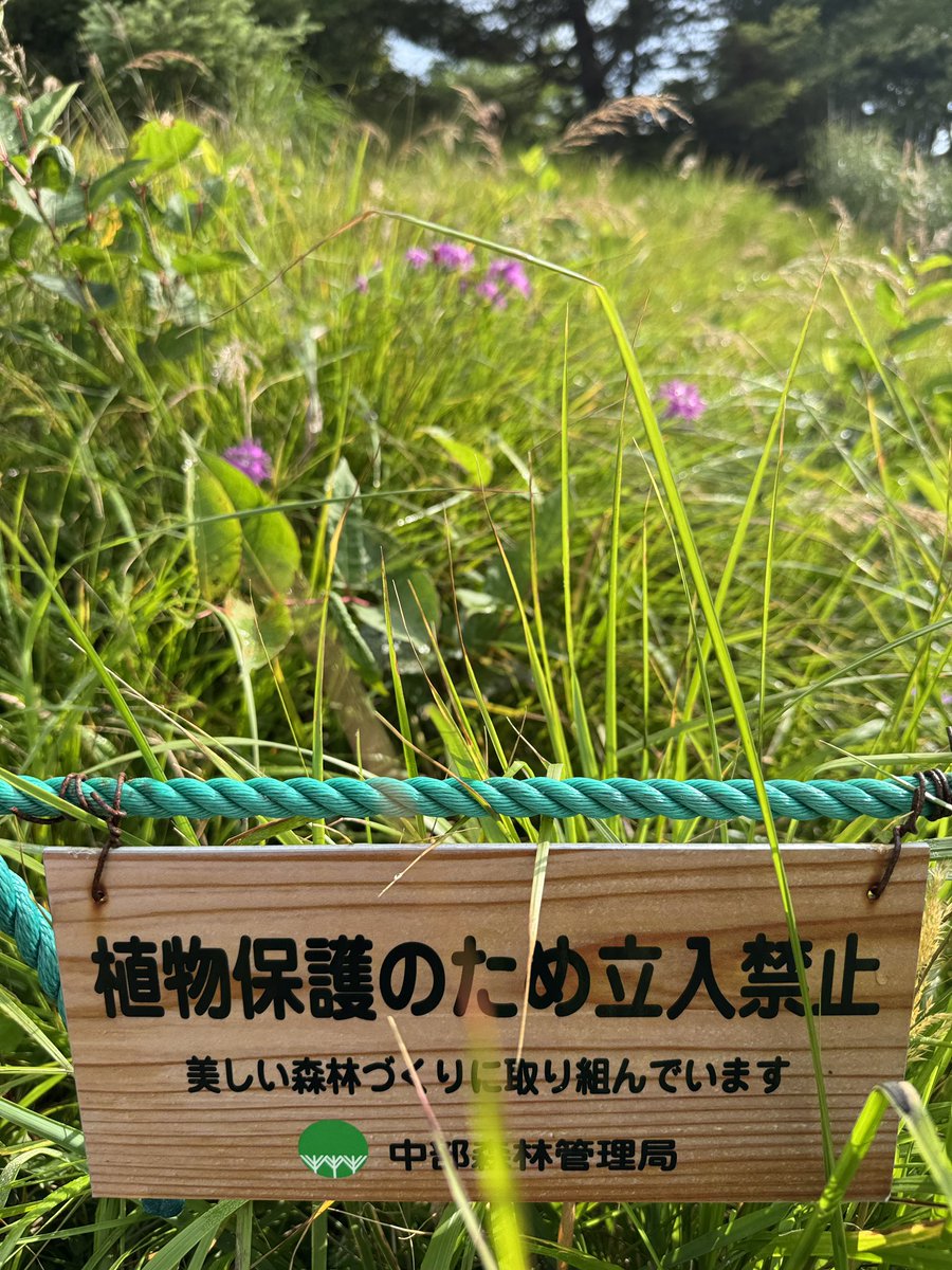 tabirisu2015's tweet photo. https://t.co/KZxU0TbmPT