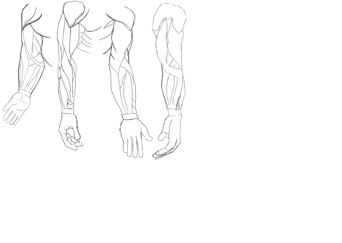 _katarigatari_'s tweet photo. 腕手腕手腕手腕手腕手腕手腕手腕手腕手腕手腕手 https://t.co/JKw3Btcfmp