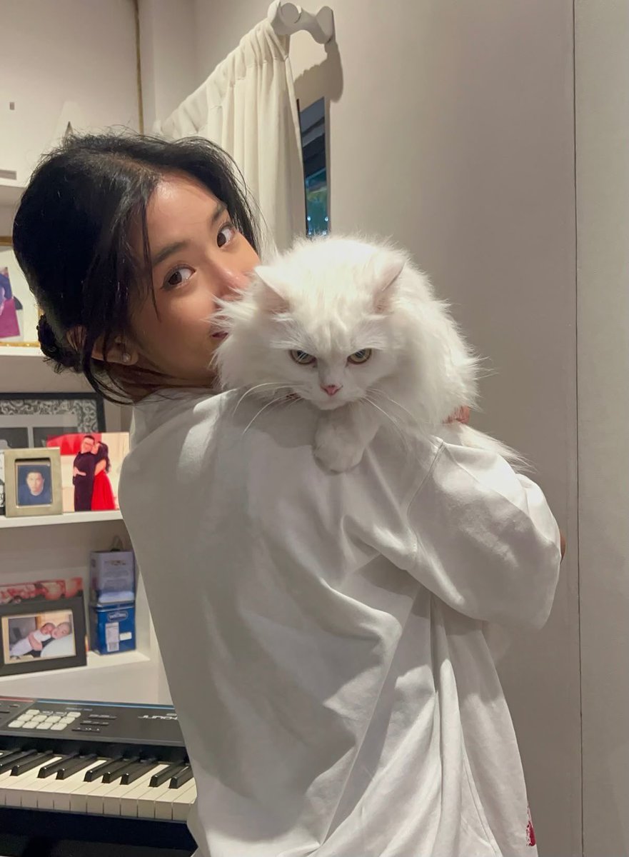 sweetwhimpsy's tweet photo. First, let me introduce you all to my pretty grumpy cat, Princess Marie🐾 https://t.co/tXSom5apae