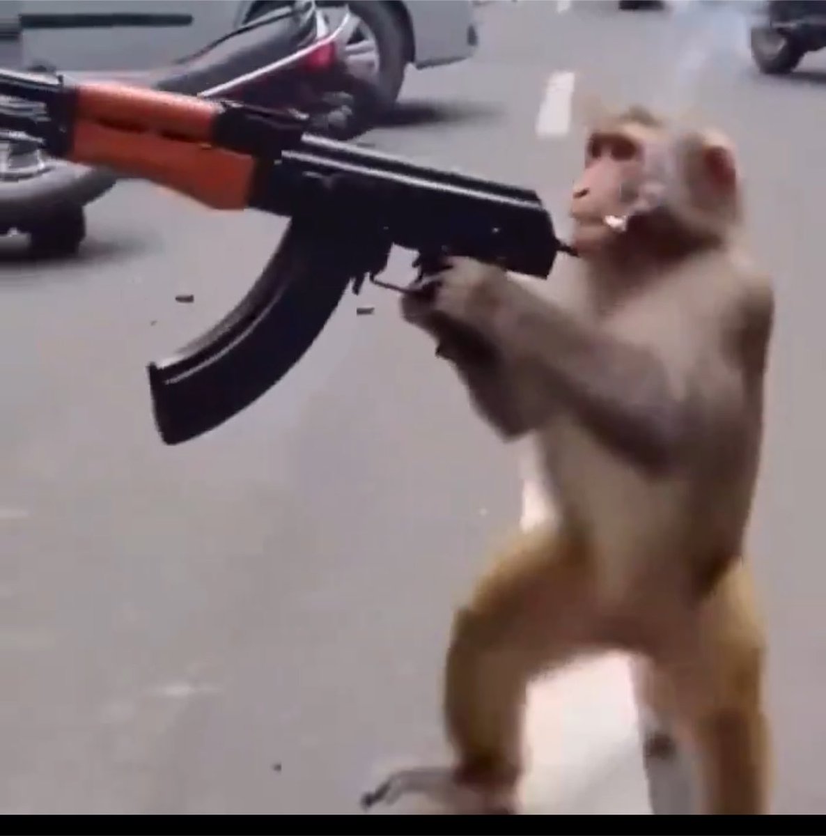 StrapMonkeSol's tweet photo. @fyrechartz This is the monke that started it all. 🐒🔫
No fear, no chill, just pure send energy.
We turned him into $STRAP.
Chart’s about to feel like this clip. 💨
Launching soon on @pumpdotfun — lock in early. 👀
#Solana #Memecoin #PumpFun https://t.co/lYotXCicHM