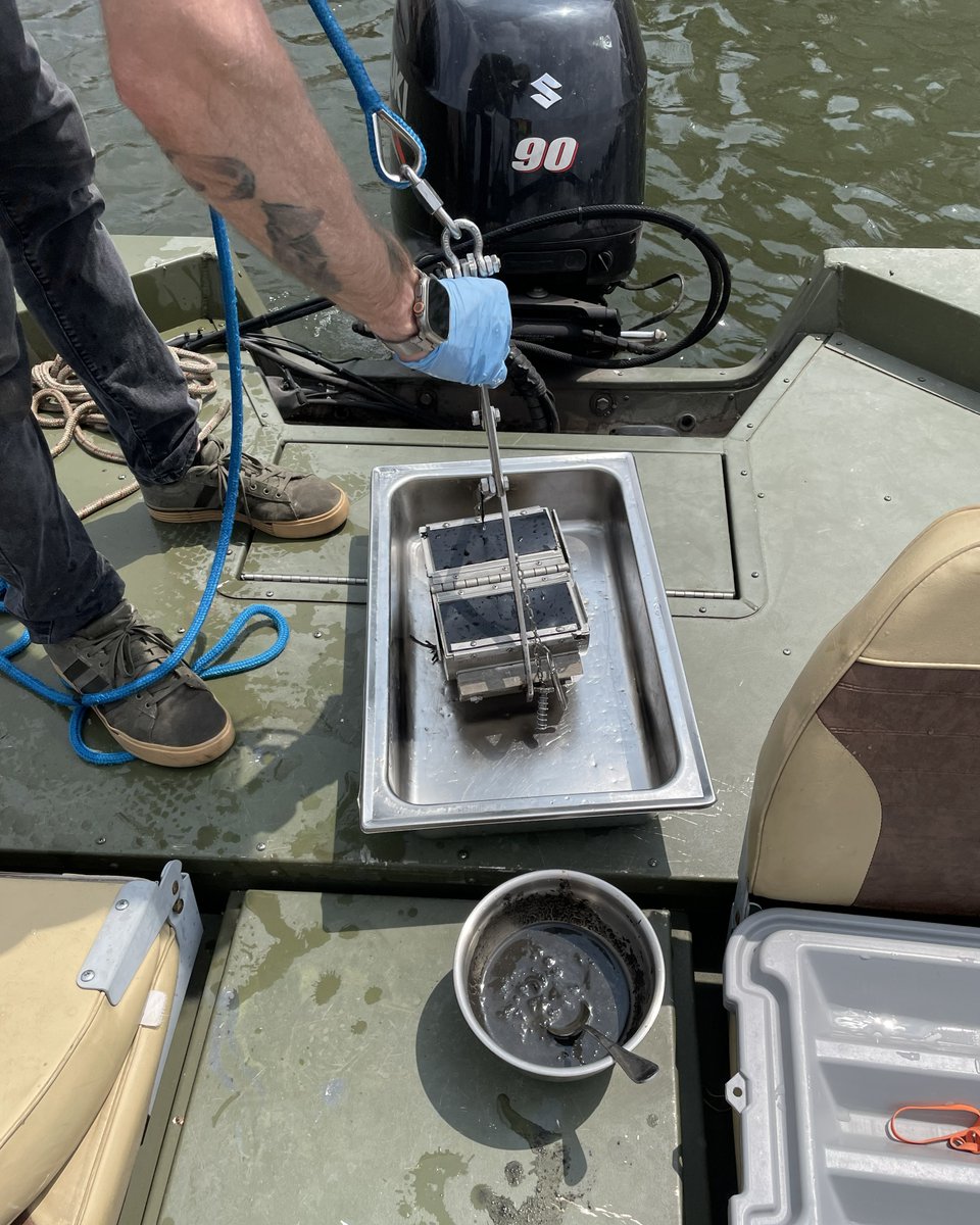 USGS_UMid's tweet photo. Monitoring PFAS in Milwaukee's waterways 🌊🧪

PFAS (Per- and Polyfluoroalkyl Substances, aka "forever chemicals") are a group of human-made compounds that have been widely used in consumer products and industrial applications for decades. Because they can persist in the environment, understanding where they occur and how concentrations change over time is an important part of protecting our water resources.

Each year, scientists with the U.S. Geological Survey (USGS), in cooperation with the Milwaukee Metropolitan Sewerage District (MMSD) collect water and sediment samples from 22 stream sites and three estuary sites throughout the Milwaukee, WI area as part of an annual PFAS monitoring effort.

This monitoring effort includes:

💧 Water sampling – Collecting water samples to monitor PFAS concentrations in streams and estuaries throughout the Milwaukee area.

🏞️ Sediment sampling – Analyzing streambed and estuary sediments to better understand where PFAS are present in the aquatic environment.

📍 25 monitoring sites – Sampling 22 stream sites and 3 estuary sites each year to provide a consistent picture of PFAS across the region.

📊 Annual environmental monitoring – Conducting routine sampling to monitor PFAS concentrations over time and provide resource managers with high-quality scientific data.

Working together, USGS and MMSD are helping build the scientific understanding needed to inform water-resource management and protect the Milwaukee region's waterways.

📸 1: A USGS scientist collects water from Root River in Greendale. This sample will be analyzed for PFAS to provide information on its occurrence in the aquatic environment and to support ongoing annual monitoring. Photo by Kathryn Morgan, USGS.
📸 2: A USGS scientist holds up a bowl of homogenized sediment collected at the mouth of the Milwaukee River, near the Hoan Bridge. Annual sampling helps document environmental concentrations of PFAS in streams and estuaries across the Milwaukee area. Photo by James Romano, USGS.
📸 3: A USGS scientist holds up a water sample from Honey Creek in Wauwatosa as part of annual monitoring for PFAS. Water and sediment samples are collected from surface waters across the Milwaukee area to help monitor environmental concentrations. Photo by James Romano, USGS.
📸 4: A USGS scientist sets down a Petite Ponar sampler containing sediment from the Milwaukee River estuary. This sediment will be analyzed for PFAS as part of an annual monitoring effort that helps characterize environmental concentrations. Photo by James Romano, USGS.

@MMSD_MKE

#WaterScienceWednesday #WaterQuality #PFAS