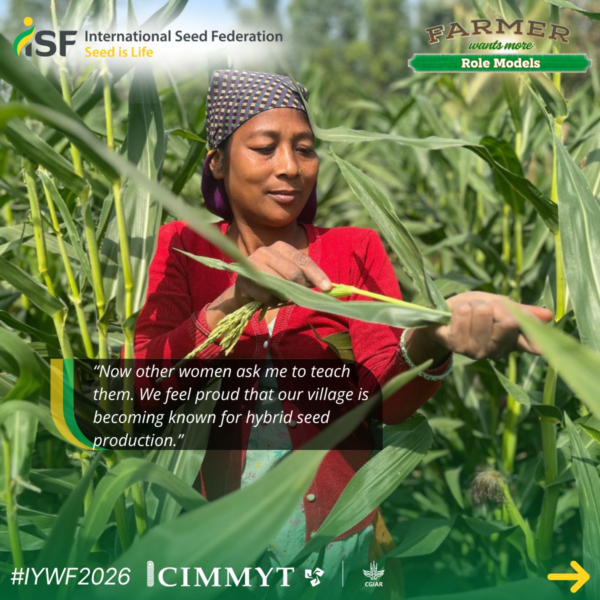 SeedFed's tweet photo. Sunpari Chaudhary from Nepal is emerging as a role model in her community after training under Nepal’s NMRP, NAMP, and AKC supported by @CIMMYT. Get to know what these acronyms stand for and read more about the program here: https://t.co/TxiJqhZb2s #IYWF2026 #SeedIsLife https://t.co/4EiCqaTqpR