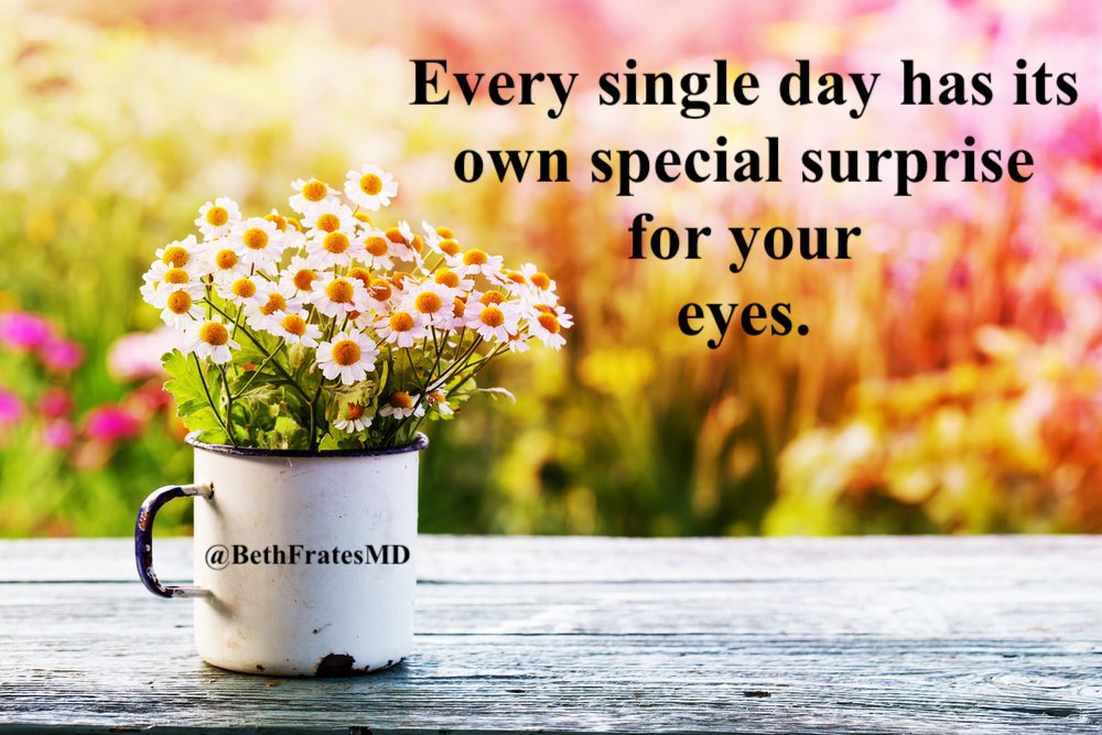 BethFratesMD's tweet photo. Happy Wednesday! Good morning.
It's August 5, 2026.
I wonder what will
surprise and
delight you
today.
💗
#WednesdayWisdome #WellnessWednesday #WellnessJourney #mindbodysoul #pavingwellness https://t.co/x2ldrW07vL