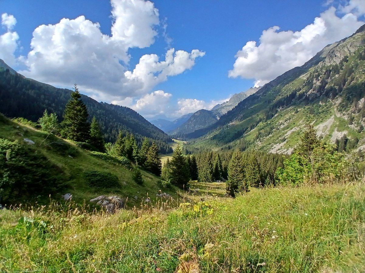 Ibnop4's tweet photo. Reminder to go out in nature, you don't wanna lose your larp card! https://t.co/ecYvQErJl3