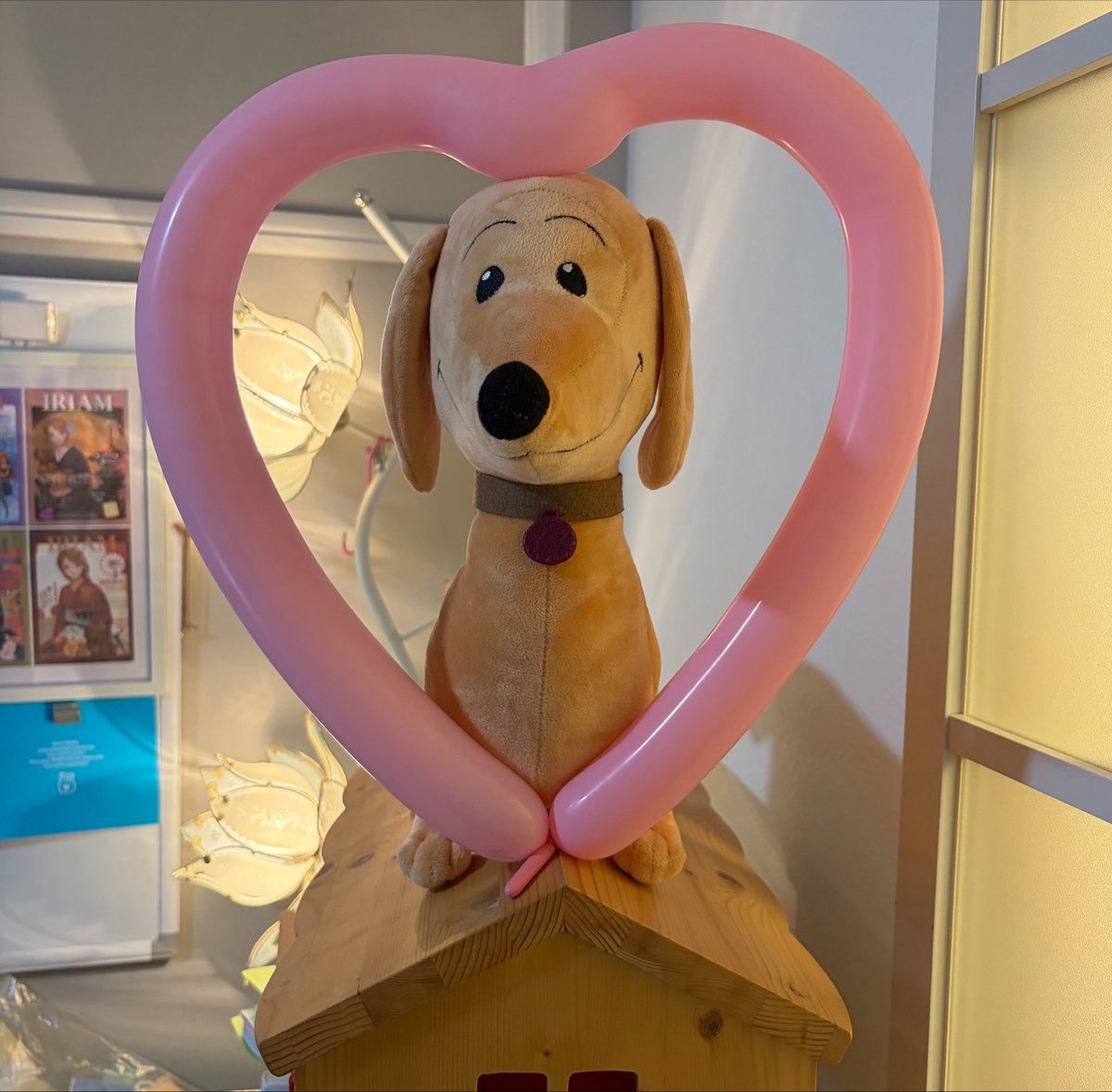 aco_wanpoco's tweet photo. こんばんわんこ♡
はちがついつか🩷
みなさまいかがおすごしでしょうか🐕w𐤔
あーこ♡実は…3日からフワッとコア解禁しとーとﾃﾞｽ♡
今日はおやチケ🎫
スーパーにお買い物行ったら🥰
ハートのバルーンもらたの♡🎈
ハンドリーに似合いすぎたので💕
ハンドリーにあげましたとさ🎁

では♡また明日🌃 https://t.co/UDijtxZSgh