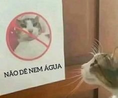 snower_007's tweet photo. @WhereIsGTA4Port @Metalgear https://t.co/MzuoVY6qb0