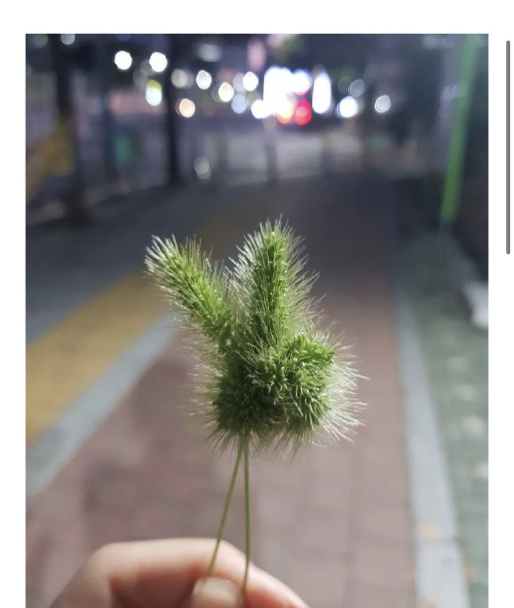 water_me10n_ tweet picture