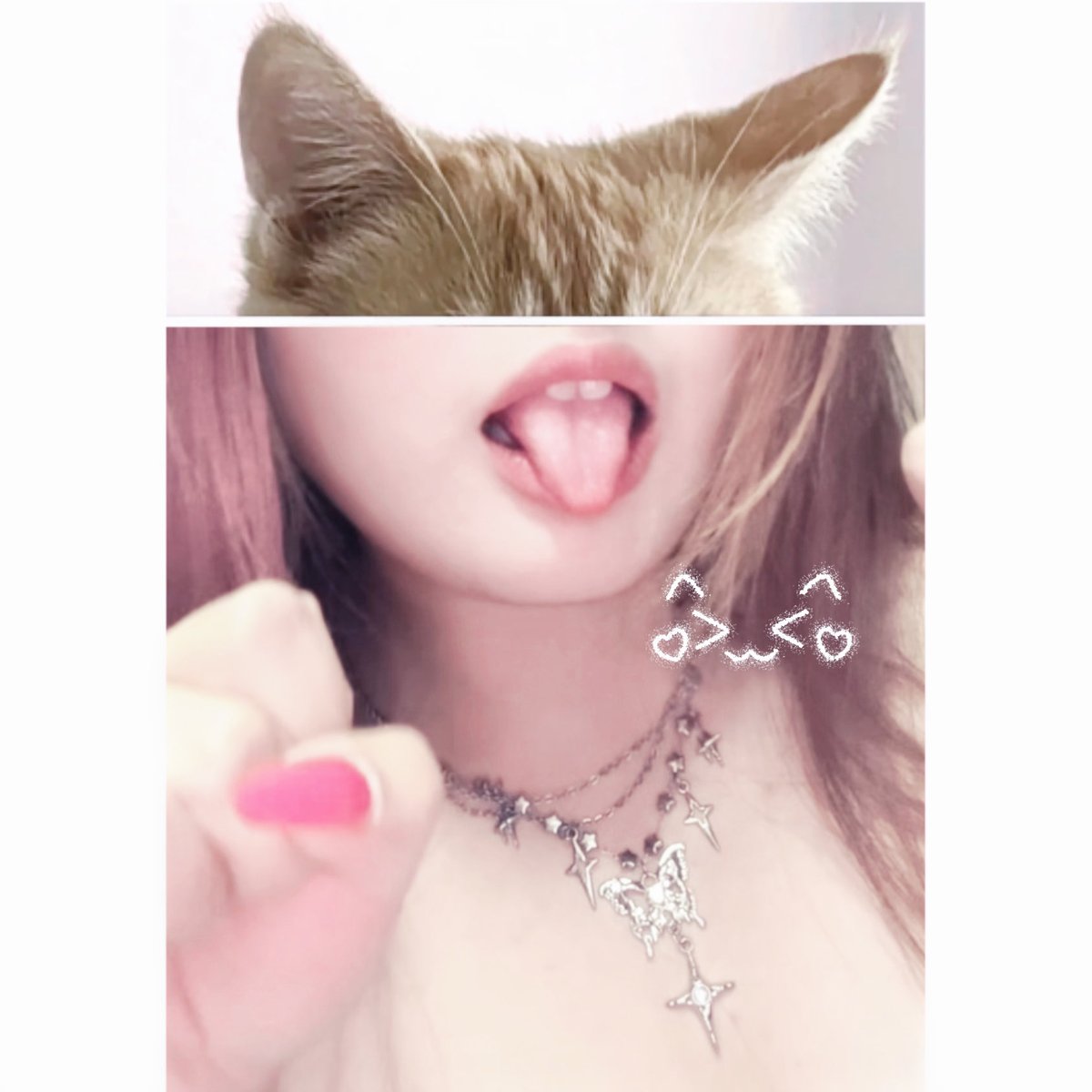 EdithFunk5355's tweet photo. 🐱我可愛嗎🧐 https://t.co/IbBuX6kceR