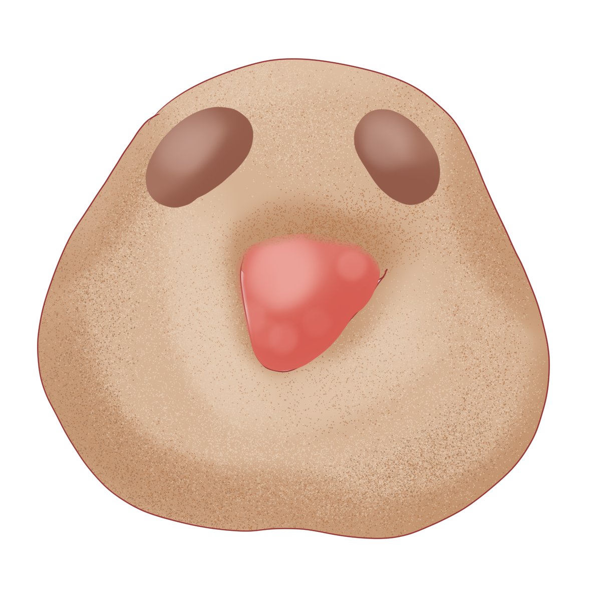hanpenq tweet picture