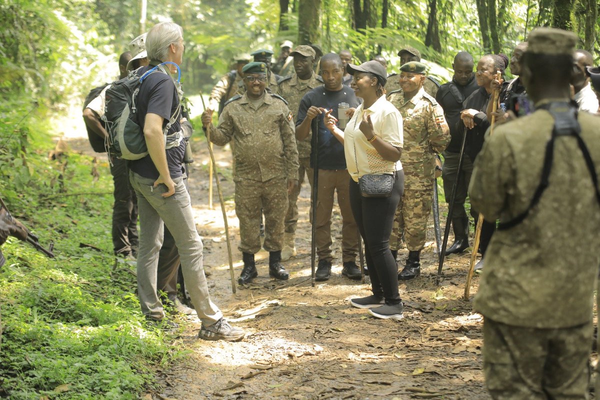 MTWAUganda's tweet photo. Minister of State for Tourism, @MTWAUganda, Hon. Susan Nsambu Nakawukyi, continued the third leg of her nationwide familiarisation tour with a visit to Bwindi Impenetrable National Park, where she experienced her first-ever mountain gorilla trek and encountered the renowned Binyindo Gorilla Family. The visit reaffirmed Uganda's global position as a premier gorilla tourism destination plus highlighted the critical role of conservation, sustainable tourism and community participation. 

The Minister also engaged with surrounding communities and immersed herself in the rich cultural heritage of the Batwa people, underscoring government's commitment to preserving indigenous cultures, strengthening livelihoods and ensuring communities benefit from wildlife conservation. The tour continues to showcase Uganda's exceptional tourism attractions while promoting inclusive, sustainable tourism development through strong partnerships with conservation agencies, local communities and development partners.
@ExploreUganda @ugwildlife #SustainableTourism #Bwindi #MountainGorillas #CommunityTourism  @PSKatusiimeDor @TourismBoardUg @JulzKagwa