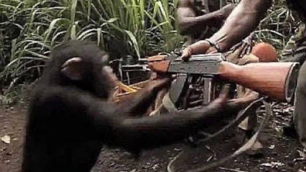 BWhey69's tweet photo. Le docteur qui m’a fait goûter à l’arrêt maladie pour la première fois https://t.co/3rWtGxhF6z