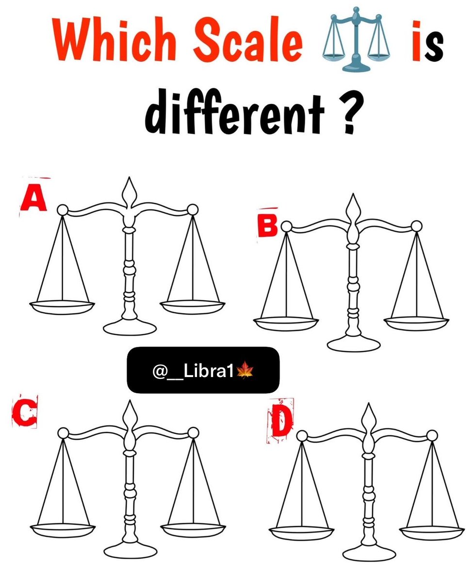 Ameliaa977's tweet photo. Which Scale is different? https://t.co/hfSFw1I7QC