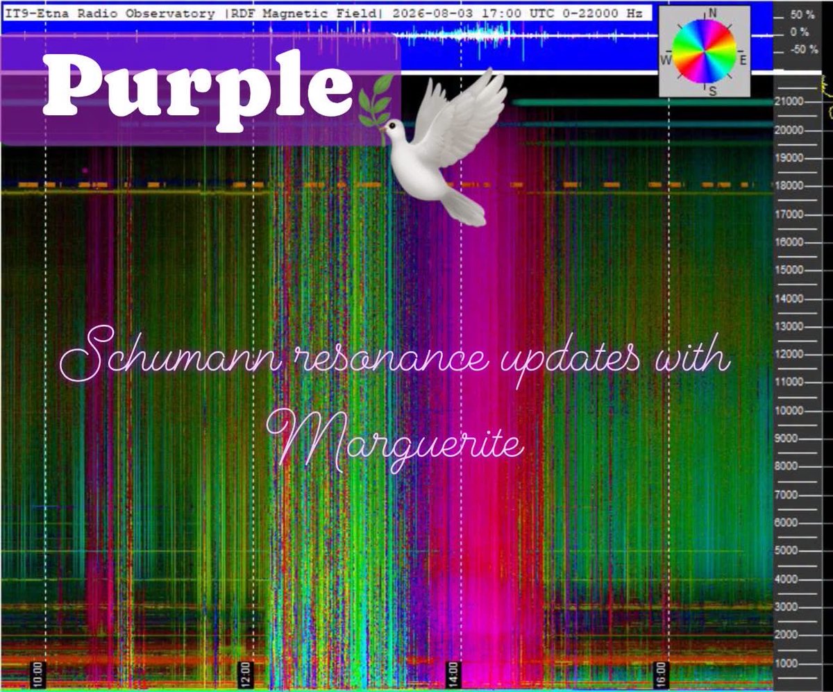 MaryCeleste1111's tweet photo. PURPLE💥💜🕊️💜🕊️🩷

Many people believe that when we see purple on the Schumann charts, it is indicative of angelic intervention, and Assistance💜🕊️

4:21 PM EST, 8/3/26 💚💙💜🕊️🩷￼
~Schumann https://t.co/LjCQHOZ17d