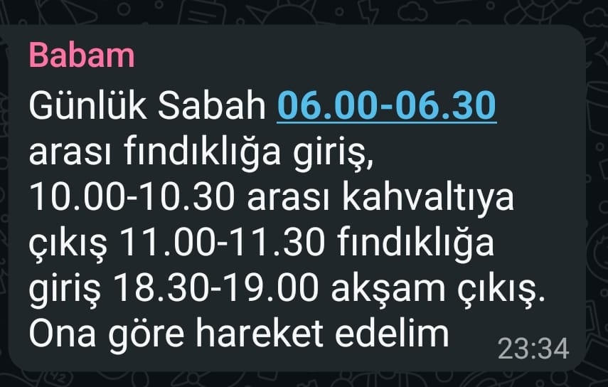 ervayevski's tweet photo. Şöyle bir hot summer planı https://t.co/u1VyYID9VO