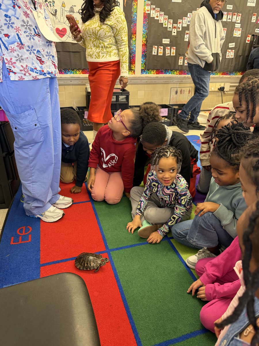 MsRodgersW3's tweet photo. The best learning doesn't stop at the classroom door, it continues through experience 🐢

#FPCSWD
#Journeyto30
#OneFriendship
#AspireMore
@FPCS_Woodridge
@FriendshipPCS https://t.co/OkdHdziHFc