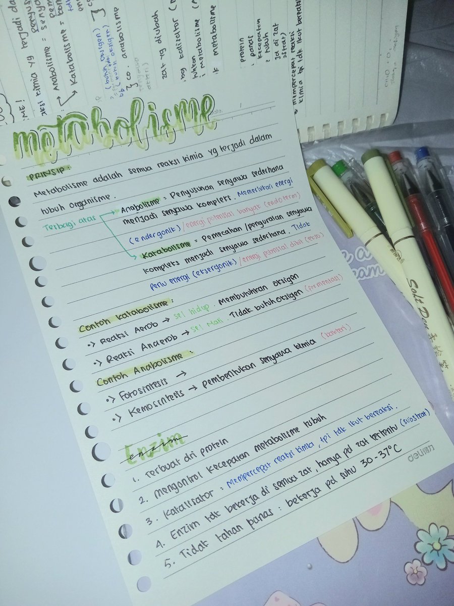 forlysmm's tweet photo. mencatat materi biologi di kelas tadi😬😬 (dibuat aesthetic biar paham, soalnya yg dibelakang itu rangkuman guruku waktu jelasin panjang lebar dan cepat :D) https://t.co/6vTRGZnBk1