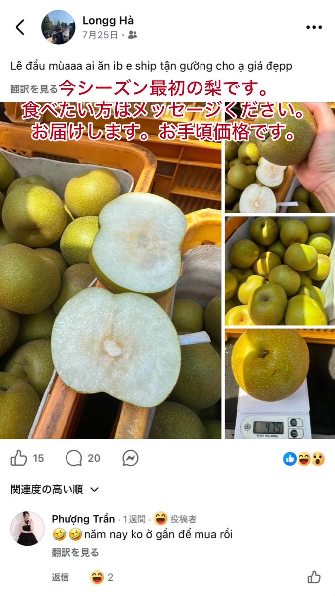japan_miyu_'s tweet photo. 【梨窃盗】

ベトナム人梨���盗グループの1人、見つかる
《Facebookで販売 過去にはiPhoneの転売も》

この人物は"技能実習生"として来日 https://t.co/rh8MAIZKGx