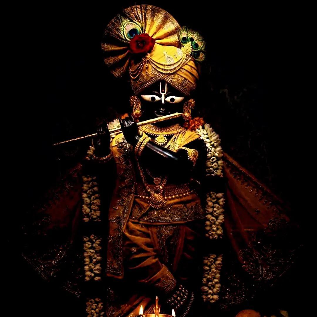 vrindavan_love's tweet photo. ☘🍂🍃☘🍁💐☘🌾🍃☘
 
कान्हां💕💕
जला दी वो किताब हमनें जिसमें लिखा था..!!

  अच्छों के साथ हमेशा अच्छा होता हैं..!!
 
 ❣️ !!! Զเधे Զเधे !!! ❣️
 
 💕जय श्री #श्याम💕
 
 ☘🍂🍃☘🍁💐☘🌾🍃☘
 ┈┉┅━❀ ꧁❣️꧂ ❀━┅┉┈
*🙏🏻🙏🏻जय श्री राधे गोपीनाथ की🙏🏻🙏🏻* 
 ┈┉┅━❀ ꧁❣️꧂ ❀ https://t.co/j41nL6Ab7i