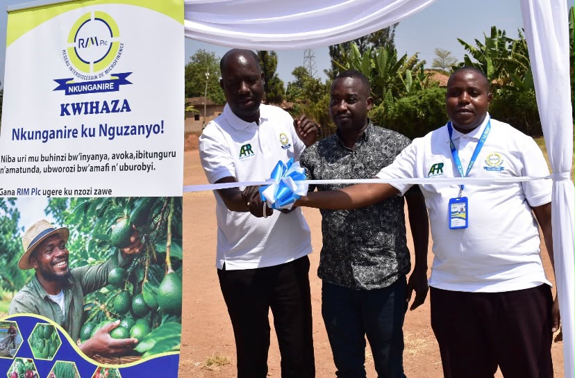 rim_plc's tweet photo. RIM Plc successfully launched the Kwihaza Loan Product in Huye, Rutsiro, Gicumbi and Kirehe, in partnership with @AFRwanda 

The product offers 12% financing to MSMEs in tomato, onion, avocado, passion fruit and fisheries value chains, promoting financial inclusion and growth. https://t.co/cnqusfDL4c
