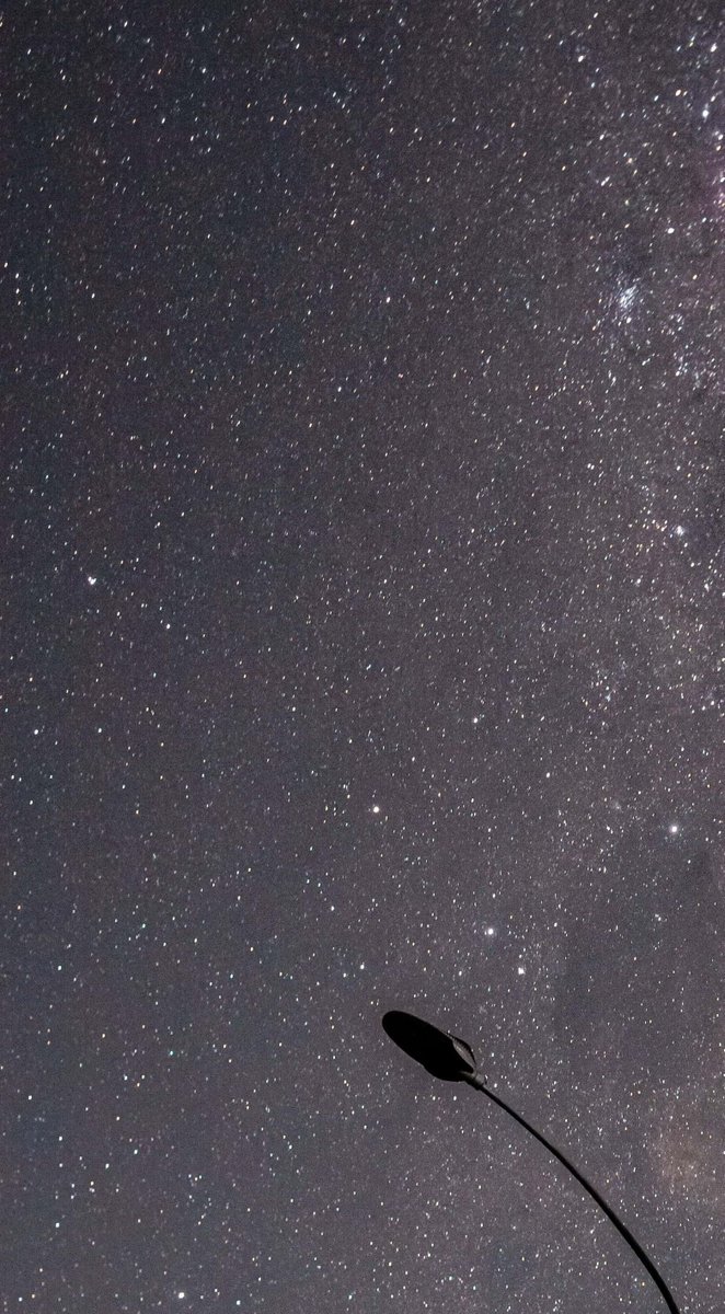thomsngpxynpl's tweet photo. The night sky is always so mesmerizing. Makes me want to grab my camera and capture this beauty. https://t.co/DpF2s6hpdu