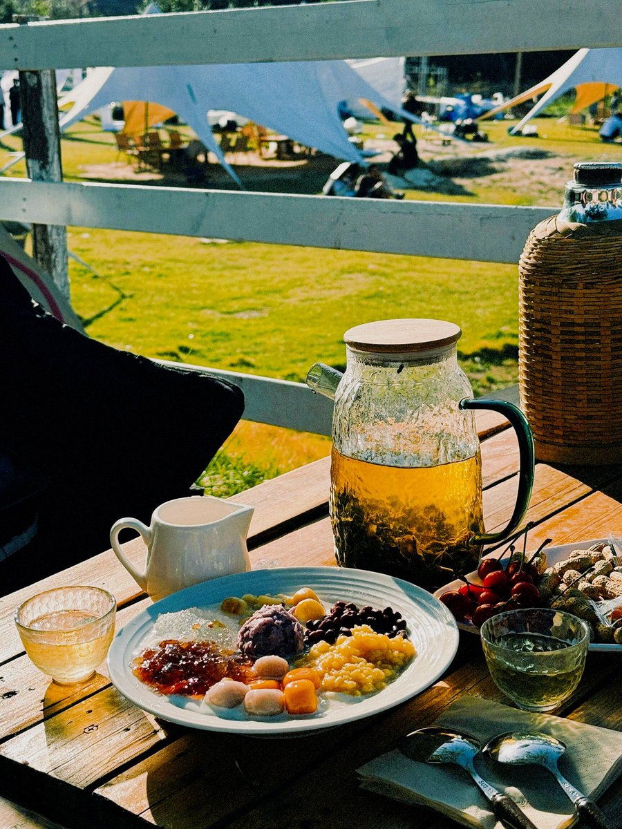 laformura's tweet photo. Woke up to sunlit pine trees and coffee steam, no alarms, just crickets + fresh air. Best escape ever  #CampLife， https://t.co/z2yauu8T6A
