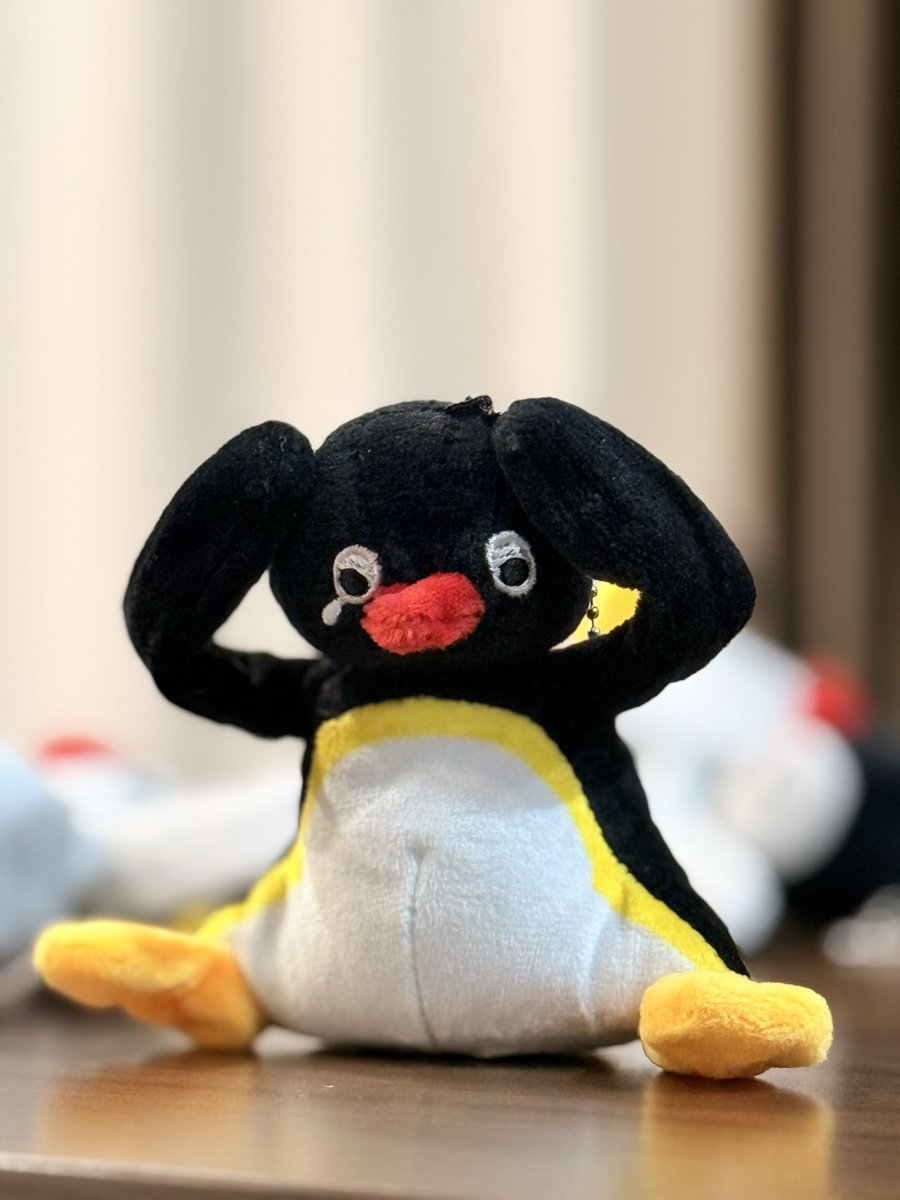 Rock3Game's tweet photo. 妻がケンティーのイベント終わりに新作めそピン(ぐったり)獲ってきてくれた

ありがとう妻
ありがとうケンティー

#ピングー
#中島健人 https://t.co/7rNgjUViLX