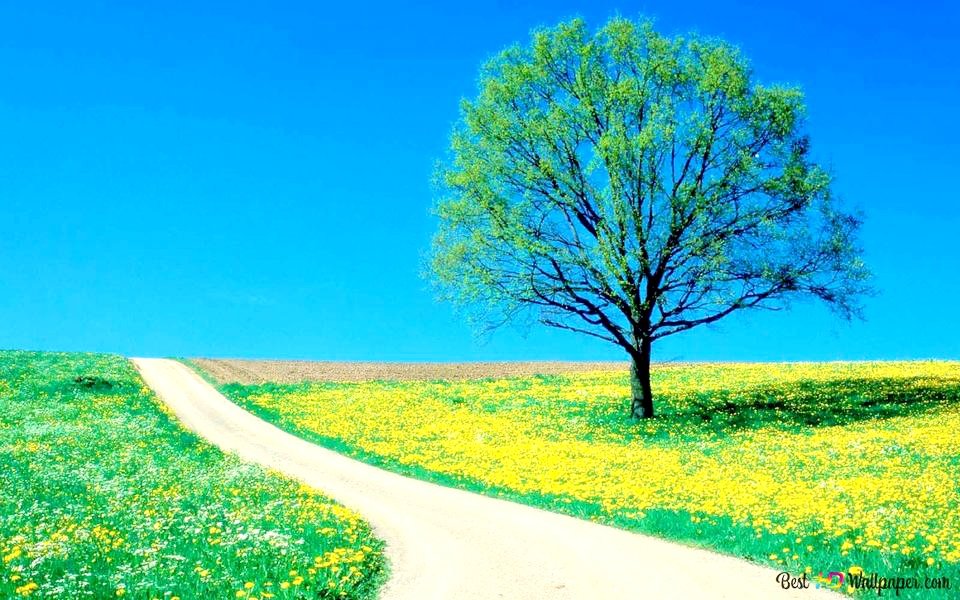 ItsAzeem_'s tweet photo. जब समय होता है तब समझ नहीं होती

और जब समझ आती है तब समय नहीं होता. https://t.co/GC0w2L6K9T